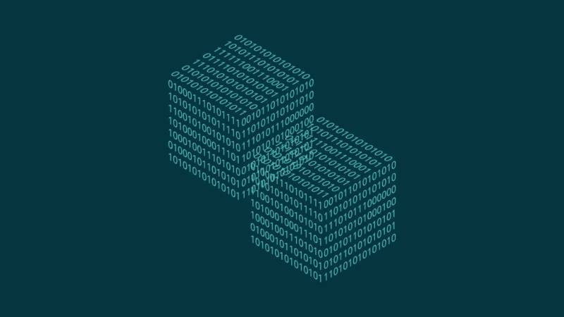 新都区信创改造:网络应用开发流程标准化的核心路径与实践